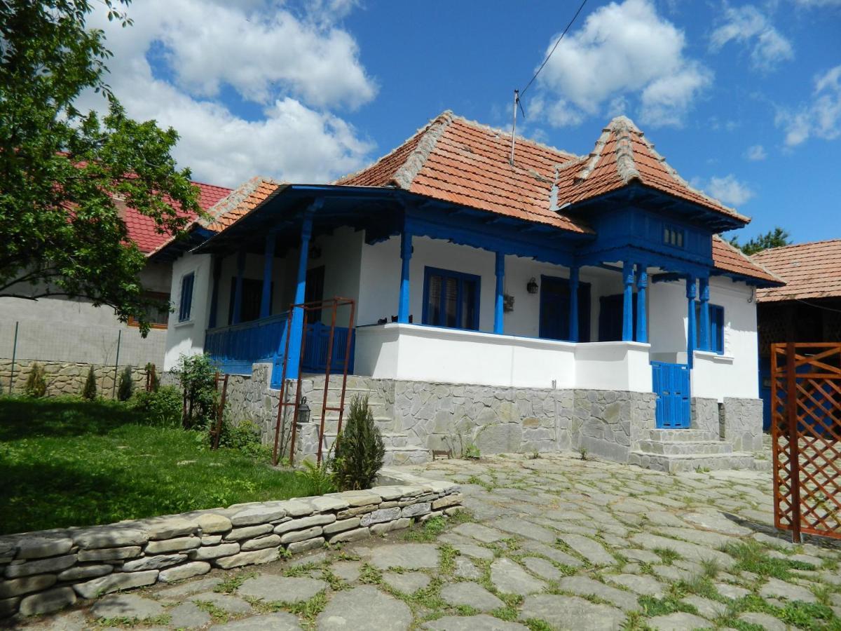 Villa Casa De Vacanta Traditionala Romaneasca Schiulesti Exterior foto