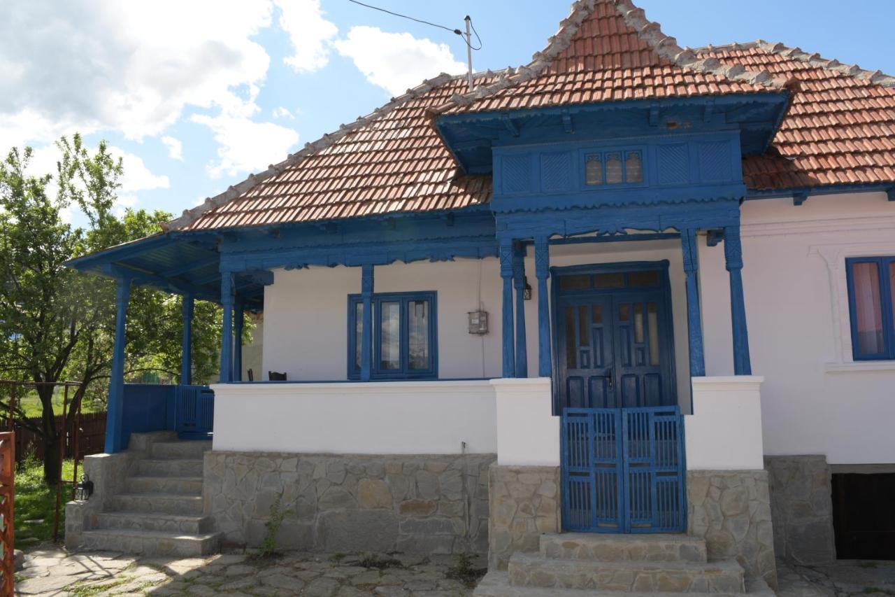 Villa Casa De Vacanta Traditionala Romaneasca Schiulesti Exterior foto