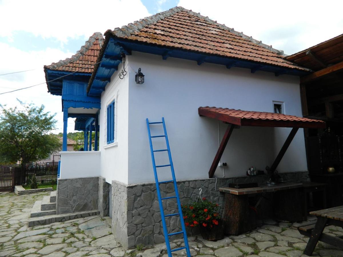 Villa Casa De Vacanta Traditionala Romaneasca Schiulesti Exterior foto