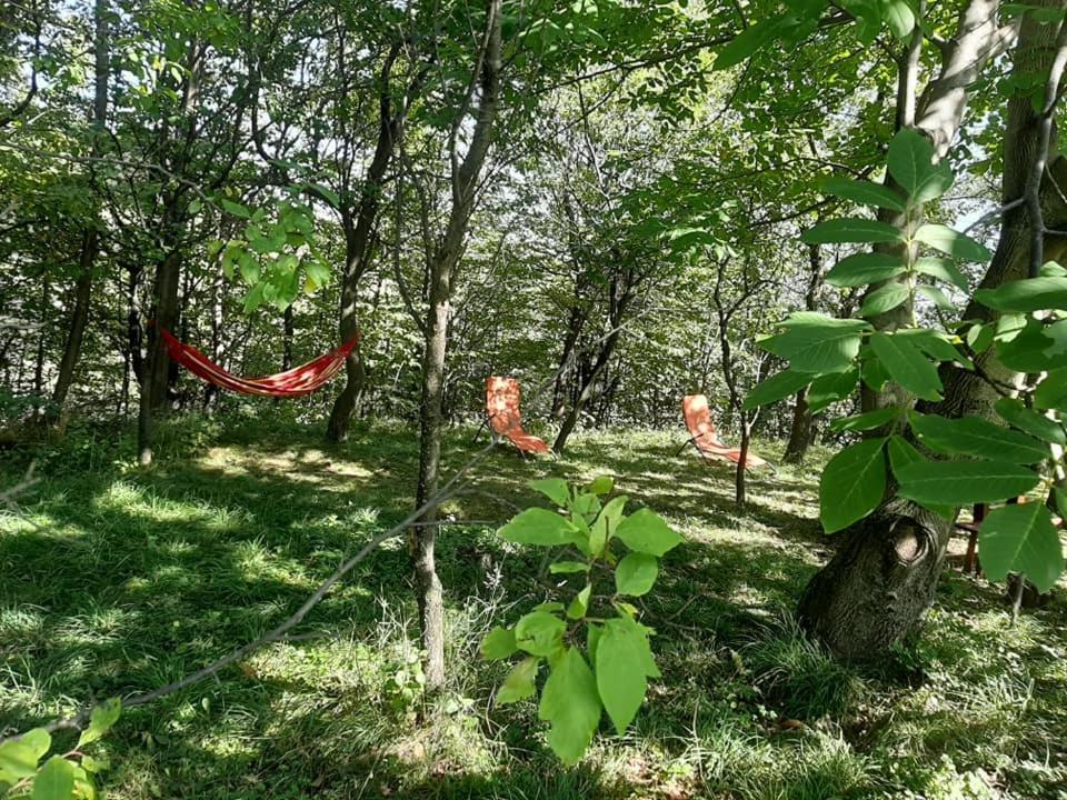 Villa Casa De Vacanta Traditionala Romaneasca Schiulesti Exterior foto